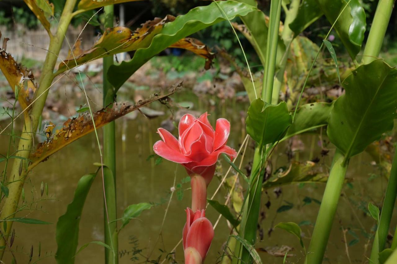 Rai Boonsom Phrao Exterior foto